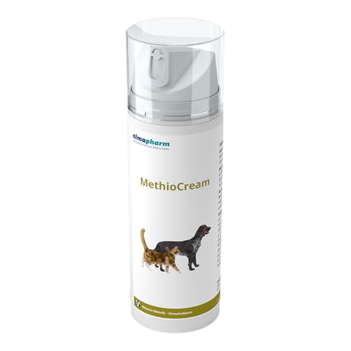 Almapharm MethioCream | 150 ml | Ergänzungsfuttermittel für Hunde und Katzen zur Unterstützung des Harnstoffwechsels | Kann dabei helfen den Urin-pH-Wert zu regulieren | Paste von Almapharm