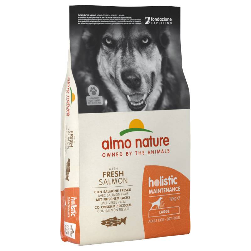 1 kg gratis! 12 kg Almo Nature Holistic - Adult Lachs & Reis Large von Almo Nature Holistic