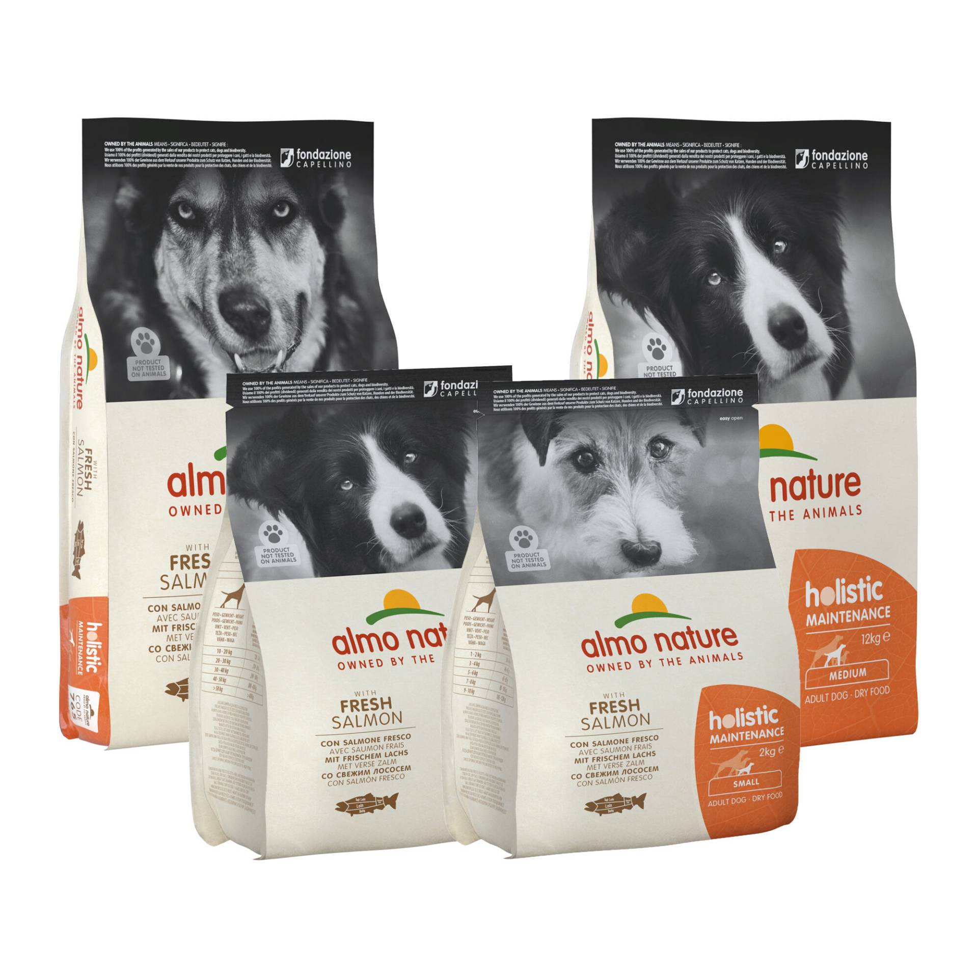 Almo Nature Holistic Maintenance Hundefutter - Lachs - XS-S - 2 kg Almo Nature Holistic Maintenance Hundefutter - Lachs - XS-S - 2 kg von Almo Nature