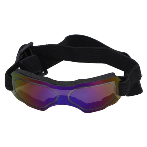 Hundebrille, UV-beständig, Bequeme Haustier-Sonnenbrille mit Verstellbarem Riemen, Modischer Augenschutz für Outdoor-Aktivitäten (BLUE) von Alomejor