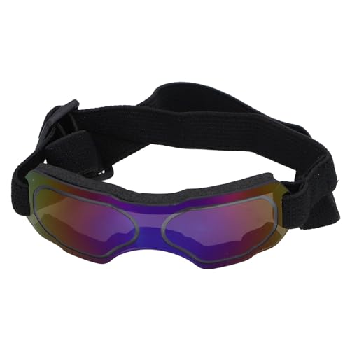 UV-beständige Hundebrille mit Verstellbarem Riemen, Schützt die Augen des Hundes vor UV-Strahlung, Passt Besser für Outdoor-Aktivitäten (Blue) von Alomejor