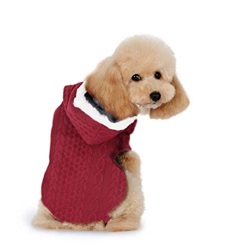 Alpha Dog Cosy Mantel L-35cm rot 200g von Alpha Dog