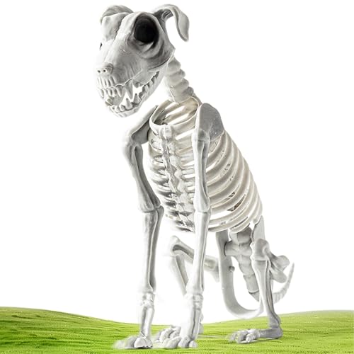 Halloween-Skelett-Hund – Hundeskelett-Halloween-Dekor | Skelett-Dekoration für Zuhause, realistische Halloween-Skelett-Hundestatue, Totenkopf-Knochenkunst-Ornamente für Party-Spukhaus-Zubehör von Alwida