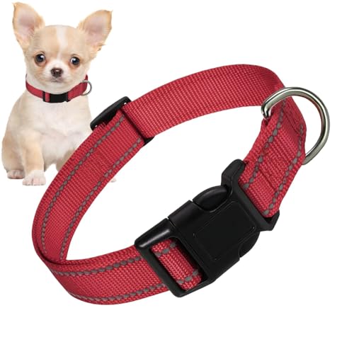 Reflektierendes Halsband für Haustiere, reflektierendes Halsband für Haustiere, Halsband für Hunde mit verstellbarer Nylonschnalle, atmungsaktiv, für Hunde von Größe M von Alwida