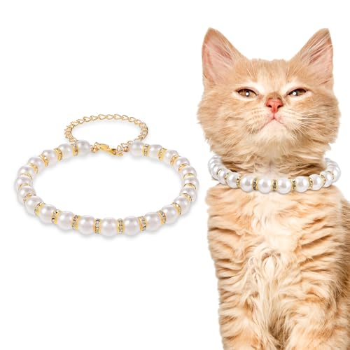 Amabro Perlenhalsband für Hunde und Katzen, Bling Strasssteine Katzenhalsband niedliches Perlenkristall Hundehalsband Bling Perlendiamant Hundehalskette Schmuck für kleine Hunde(Gold,L) von Amabro