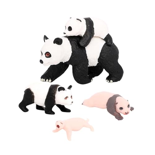 Amagogo 4X Panda-Tier-Lebenszyklus-Modell, Klassenzimmer-Zubehör, pädagogisches Spielzeug-Zubehör, Schreibtisch-Dekoration, kognitives Spielzeug für Kinder, Panda-Wachstumszyklus 4 von Amagogo