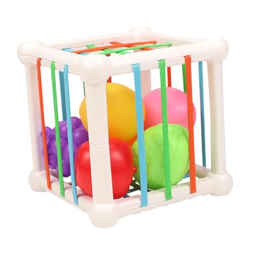 Amagogo Sensory Bin Set Motor Fähigkeiten Sensorische Sortierung Spielzeug für Kinder Mädchen Kinder von Amagogo