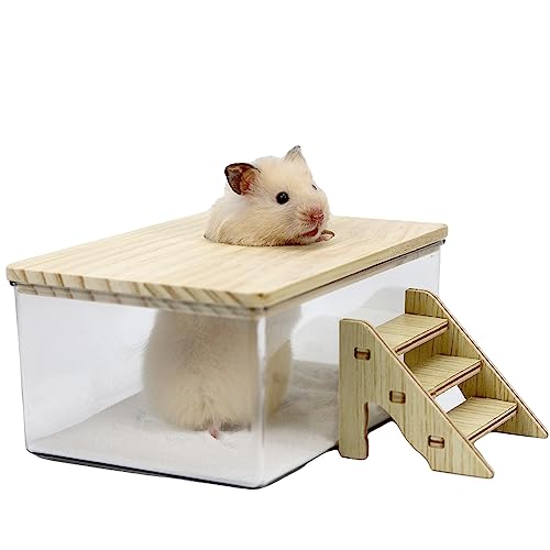 Amakunft Hamster Sandbad Kit, Hamster Sandbad Container mit Abdeckung und Kletterleiter, Transparent Graben Sandkasten für Kleintier von Amakunft