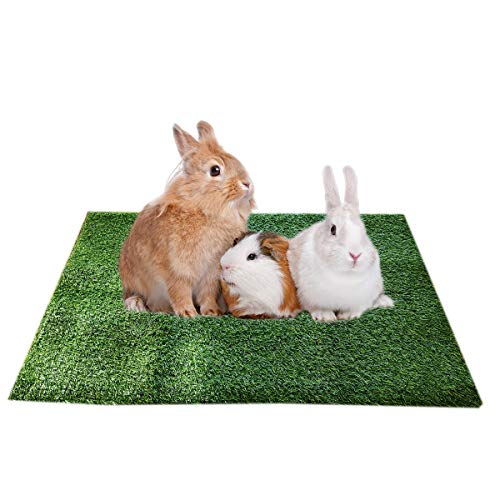 Amakunft Meerschweinchen Kaninchen Gras Pad Weicher Haustierfreundlicher Kunstrasen Waschbar Wasserdicht Gras Patch für Kleintiere Indoor Outdoor Laufen Spielen Schlafen von Amakunft