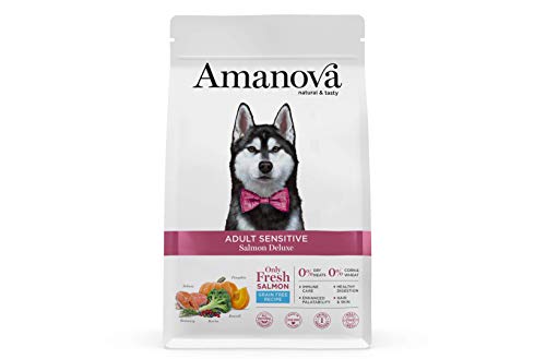 Amanova Super Premium 100% natürliches trockenes Hundefutter für Erwachsene - 10 kg - Frischer Lachs - Getreidefrei - Hypoallergen - Grausamkeitsfrei von Amanova