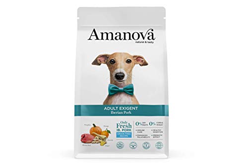 Amanova Super Premium 100% natürliches trockenes Hundefutter für Erwachsene - 2 kg - Frisches iberisches Schweinefleisch - Getreidefrei - Hypoallergen - Grausamkeitsfrei von Amanova