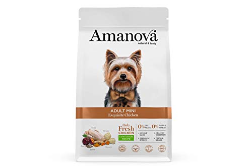 Amanova Super Premium 100% natürliches trockenes Mini-Hundefutter für Erwachsene - 2 kg - frisches Hühnerfleisch - Getreidearm - hypoallergen - frei von Grausamkeiten von Amanova