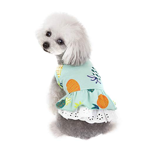 Amaone Hunde-Cheerleader-Outfit Haustier-Hundekleid aus Baumwolle, Frühling und Sommer, Haustierkleidung, Frühling, niedlich, Heimtierbedarf, Baumwolle, Pfirsichkleid, Bogenrock Stolz (Green-a, S) von Amaone