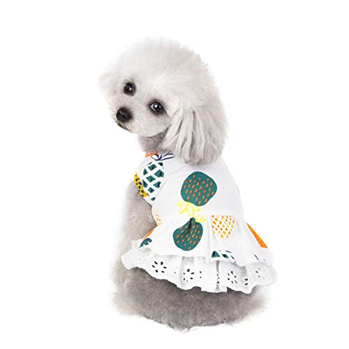 Amaone Hunde-Cheerleader-Outfit Haustier-Hundekleid aus Baumwolle, Frühling und Sommer, Haustierkleidung, Frühling, niedlich, Heimtierbedarf, Baumwolle, Pfirsichkleid, Bogenrock Stolz (White-a, L) von Amaone