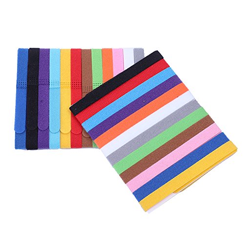 Hundehalskette 12 Bands Farben ID Identifikation Haustierhalsbänder Kätzchen Welpen Katze Hund Welpe Haustierhalsbänder Halsband Für Kleine Hunde (Multicolor, XXL) von Amaone