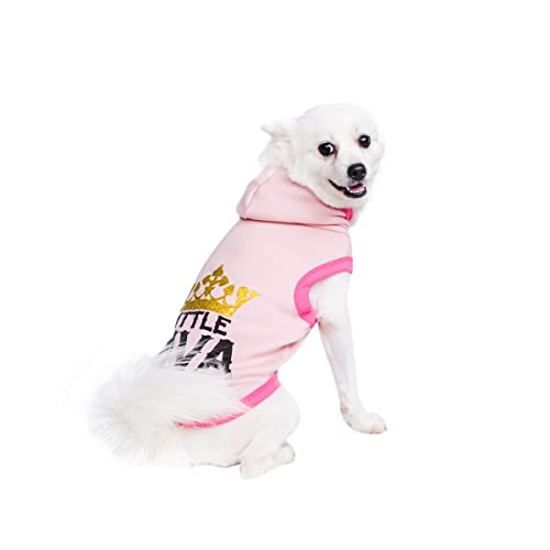 Hundejacke Kleine Hunde Haustier-Herbst- und Winter-Taschen-Sweatshirt, graue Oberteile, Haustier, Katzen und Hunde, Hoodies, niedlicher Reißverschluss, Hundejacke Kleine Hunde (0213DEBKB-Pink, XS) von Amaone