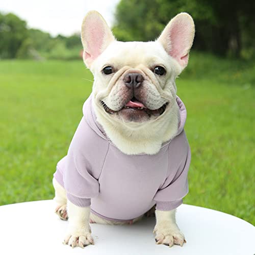 wasserdichte Hundemantel Winter Warme Jacke Hunde Welpen Pullover Junge Für Kleine Mit Tasche - Warmer Hund Medium Hoodie Herbst Kleidung Winter Fleece Haustierkleidung Hunde (1104A-Purple, XXL) von Amaone