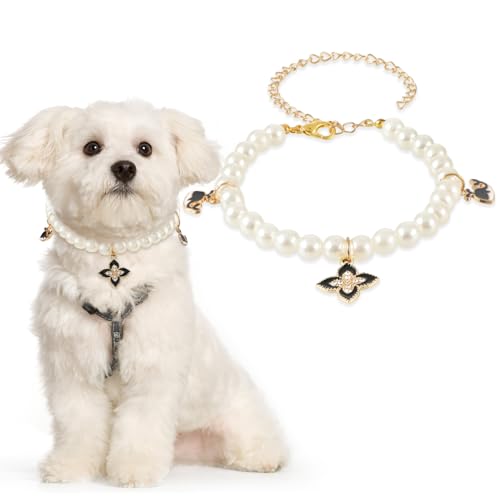 Amaxiu Perlenhalsband für Hunde und Katzen, verstellbare Hundehalskette Katzenhalsband Hundezubehör Katzenhalsbänder für Mädchen und Katzen(Perlweiss) von Amaxiu