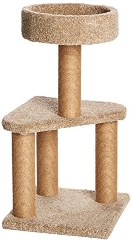 Amazon Basics Spielstation und Kratzbaum für Katzen, Medium von Amazon Basics