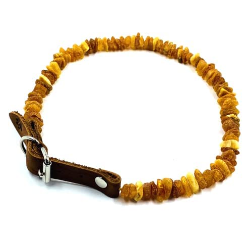 Bernstein-Halsbänder für Hunde und Katzen, Baltischer Bernstein, für Hunde und Katzen, mit verstellbarem Lederband, rohe geknotete Bernsteinperlen (25–30 cm) von Amber Jewelry Shop