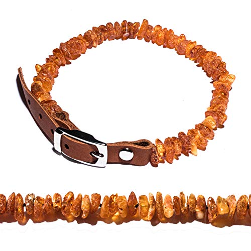 Bernsteinkette für Hunde und Katzen mit Lederschließe, natürliches flohzeckenabwehrmittel. Bernsteinhalsband von AmberNeck (35-40) von Amber Neck