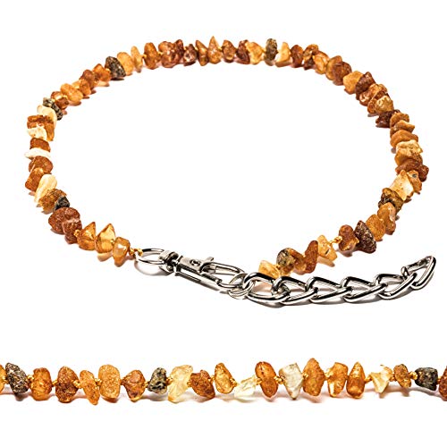 MetalGrand(3540) Bernstein Halsband für Hunde und Katzen mit Metallkette, natürliches Schutzmittel. Bernsteinkette von AmberNeck (35-40 cm) von Amber Neck