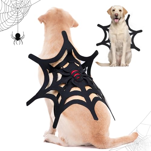 Ambreview Katzen-Halloween-Kostüm: Halloween-Spinnenkostüme für Katze, Hund, Haustierkostüm, Spinnenflügel, Cosplay, Hundekostüm, Katzenbekleidung, Zubehör für kleine Katzen, Kätzchen, Welpen (S) von Ambreview