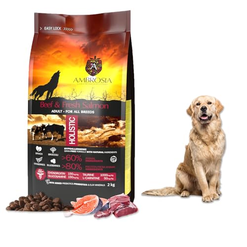 Ambrosia Rindfleisch & frischer Lachs hundefutter trocken für Mini-Rassen | Getreidefrei & Hypoallergen | Proteinreiches trockenfutter für Hunde (2 kg Packung) von Ambrosia Ultra Premium Pet Food