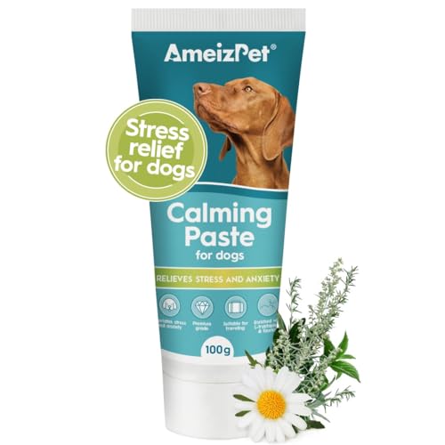 AmeizPet Anti-Stress Paste Für Hunde - Natürliche Hundebesänftigungsprodukte Linderung Von Hundestress Mit Grünem Tee-Extrakt, Seelenruhe Für Hunde, Natürlicher Hundebesänftiger Paste - 100g (3.5 Oz) von AmeizPet