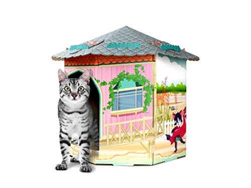 American Cat Club ACC2035 Katzenhaus und Kratzbaum mit Katzenminze von American Cat Club