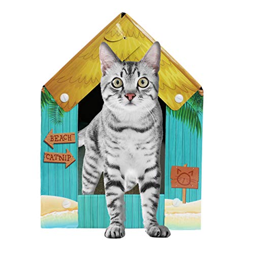 American Cat Club Katzenhaus mit Kratzbaum und Katzenminze im Lieferumfang enthalten – Summer Kitty Cove von American Cat Club