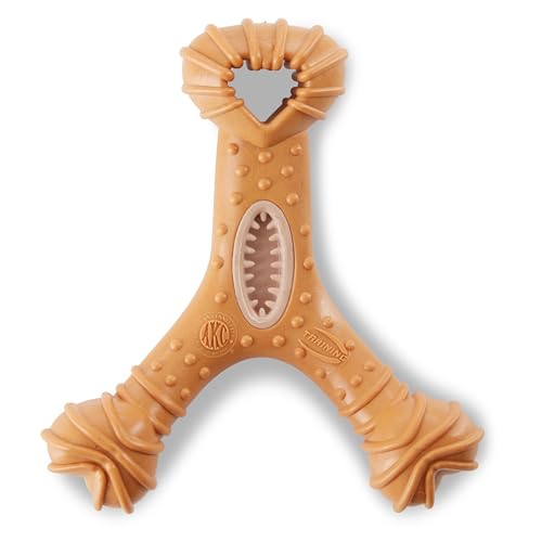 AMERICAN KENNEL CLUB AKC Training Holz Infused Dog Chew Toy for Aggressive Chewers, Durable and Long-Lasting, Chicken Scented Veterinarian Recommended for Dental Health - Multiple Shapes von American Kennel Club