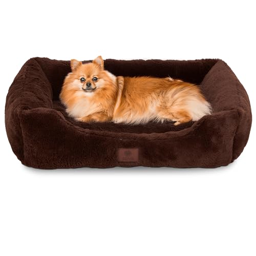 AMERICAN KENNEL CLUB Cuddler Haustierbett mit niedrigem Profil-Eingang, 63,5 cm Plüsch-Design für mittelgroße und große Hunde, ultraweiches, waschbares Hundebett mit Rutschfester Unterseite, von American Kennel Club