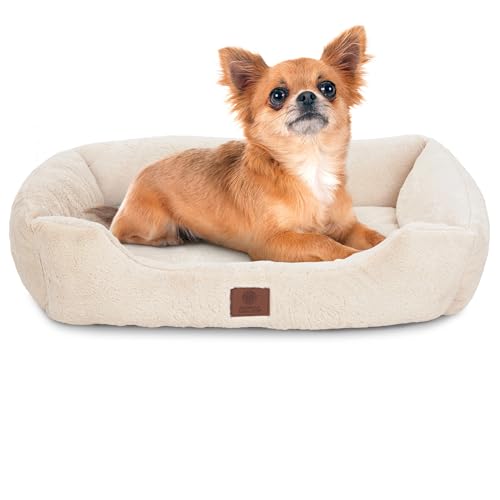 AMERICAN KENNEL CLUB Cuddler Haustierbett mit niedrigem Profil-Eingang, 63,5 cm Plüsch-Design für mittelgroße und große Hunde, ultraweiches, waschbares Hundebett mit Rutschfester Unterseite, von American Kennel Club