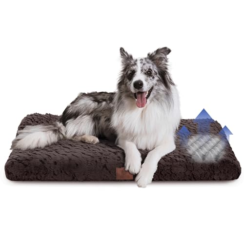 AMERICAN KENNEL CLUB Orthopädische Hundebox-Matte aus Memory-Schaum, Eierkisten-Schaumstoffkissen, waschbarer Bezug, rutschfeste Unterseite, lindert Gelenkschmerzen, atmungsaktiv, langlebig, 36 x 23 von American Kennel Club