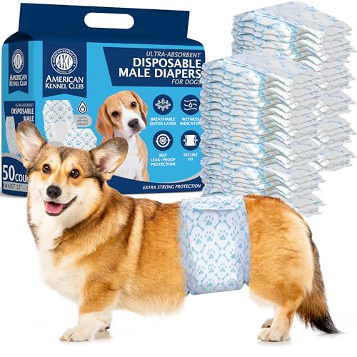 American Kennel Club Einwegwindeln für Rüden, mit Nässeindikator, klein, 50 Stück American Kennel Club Einwegwindeln für Rüden, mit Nässeindikator, klein, 50 Stück von American Kennel Club