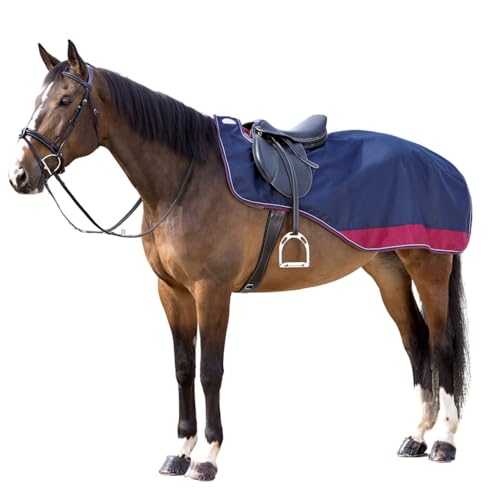 Amesbichler Reitsport Nierendecke Equitheme TYREX 1200D Equi-Theme wasserdicht Fleecefütterung 030143 von Amesbichler Reitsport