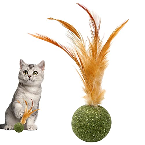 Amesor Katze-Nip-Bälle - Kätzchenfeder essbarer Ball,Sicheres gesundes Kauspielzeug für Kätzchen, Zahnreinigungsspielzeug für Katzenlec, interaktive Katzenleckereien von Amesor
