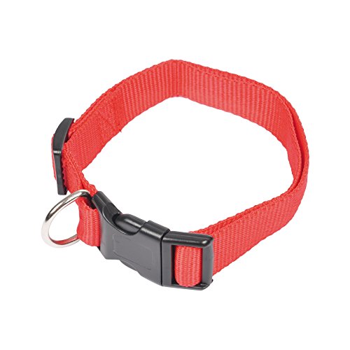 Freund Comfort 6 ani196ro Hundehalsband, Verstellbar, 45–65 cm x 2,5 cm von Ami Confort