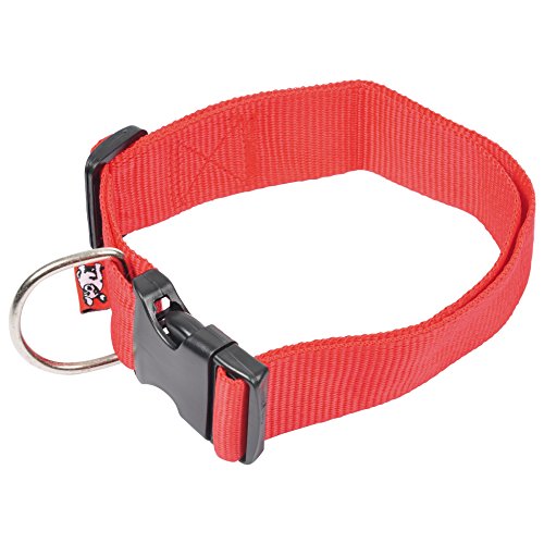 Freund Comfort 6 ani343ro Hundehalsband, Verstellbar, 50–70 x 4 cm von Ami Confort