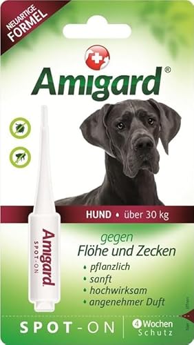 Amigard Spot-On 1er Pack für große Hunde, gegen Zecken und Flöhe, 1 Monat Schutz, pflanzliche Wirkstoffe, ohne Parfüm und Konservierungsmittel, vegan von Amigard