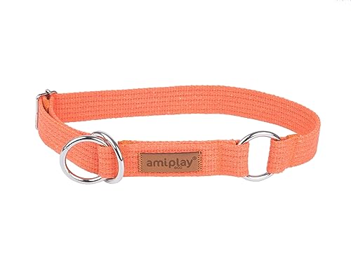 Amiplay Schlupfhalsband Hund - Zughalsband für Hunde mit Stopp, Aus Durable Cotton, Ideal für Kleine und große Hunde von Amiplay