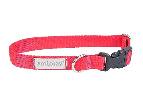 Amiplay Verstellbares Hundehalsband Samba - Robustes, Langlebiges Halsband für Kleine, Mittelgroße und Große Hunde, Stufenlos Verstellbar, Ideal für den Täglichen Spaziergang und Lange Wanderungen von Amiplay