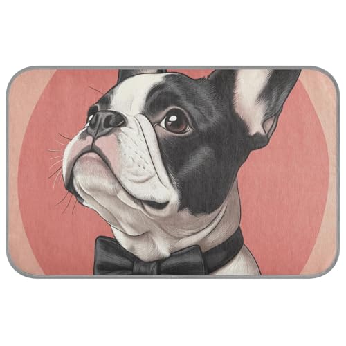 Niedliche französische Bulldogge für den Sommer, selbstkühlende Kühlmatte für Kaninchen, Katzen, nicht-elektrisches Klebeband, zum Auffrischen von Para Mascotas M Niedliche französische Bulldogge für den Sommer, selbstkühlende Kühlmatte für Kaninchen, Katzen, nicht-elektrisches Klebeband, zum Auffrischen von Para Mascotas M von Amooorous