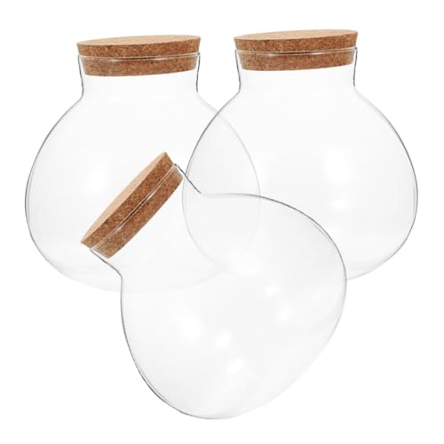 3 Stück Mikro Landschaftsflasche Pflanze Terrarium Moos Pflanzenflasche Mikrolandschaft Leere Flasche Mikro Landschaft Pflanzgefäß Flasche Desktop Sukkulenten Flasche Amosfun von Amosfun