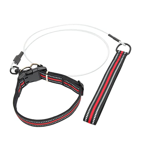 Amosfun 1 Satz Hundehalsband 3 Hundeleine Für Hunde Großer Rassen Schwarze Leine Geschirr Für Kleine Hunde Halsband Für Welpen Hundeseil Haustierzubehör Gemütlich Zinklegierung von Amosfun