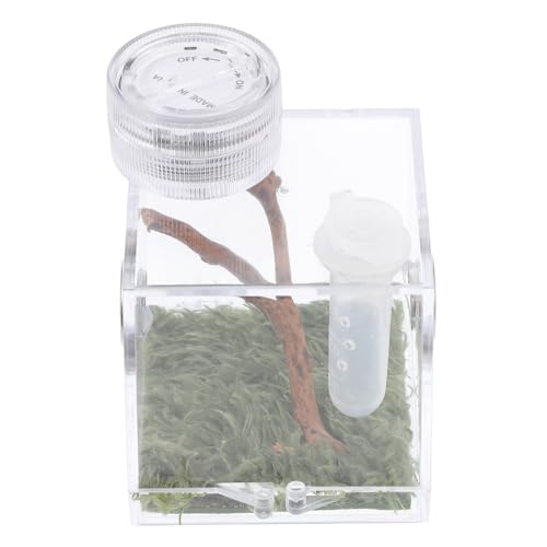 Amosfun 2Er-Box Springspinnen-Zuchtbox Mini-Lebewesen Klettern Haustier Terrarium Tank Spinnenhaltungsbox Springspinnen-Box Haustierzubehör Mini-Terrarium Spinnenträger Spinnenhaus Reptil von Amosfun