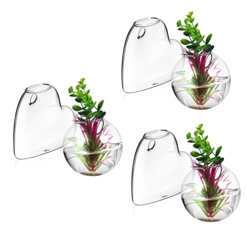 Amosfun 3 Sätze Glasvase Pflanzen Terrarium Ausbreitung Wandbehang Hängende Pflanzgefäße Für Zimmerpflanzen Hängende Vermehrungsstation Glas Mit Hohem Borosilikatgehalt 2 Stück * 3 von Amosfun