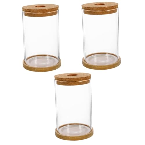 Amosfun 3 Sätze Hydroponische Vase Blumenkübel Links Blumentöpfe Kleines Terrarium Moos Terrarium Ökosystem Terrarium Micro-landschafts-DIY-Flasche Pflanzenbehälter Selber Machen Glas von Amosfun