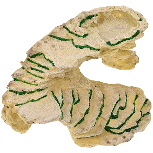 Amosfun 3St Klettern für Haustiere Kletterrampe für Schildkröten aus Schiefer Aquariumzubehör aquaristik zubehör Aquarium Zubehör Aquariumdekoration Reptilien Desktop-Schildkrötenrampe von Amosfun